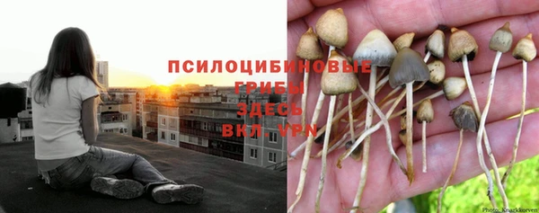 гашик Алексеевка