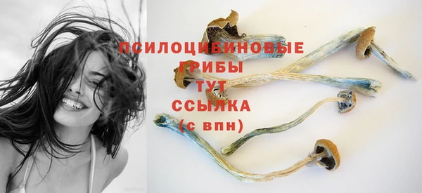 герыч Арсеньев