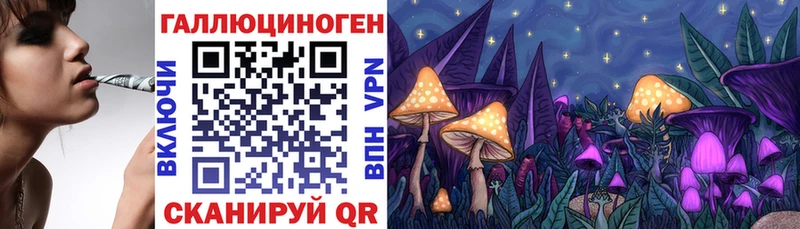 blacksprut как зайти  Тамбов  Псилоцибиновые грибы мицелий 