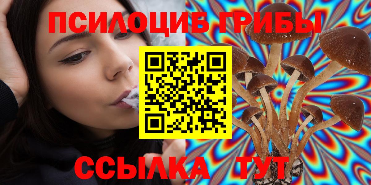 где найти наркотики  Псилоцибиновые грибы Magic Shrooms  Вход с VPN  Тамбов  Псилоцибиновые грибы Psilocybe 
